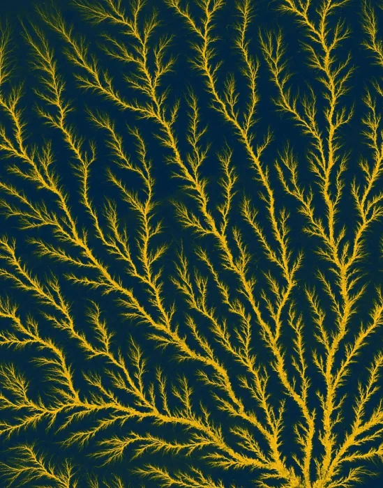 Framed Print : Electron Tree or Lichtenberg Figure Framed Print : Electron Tree or Lichtenberg Figure