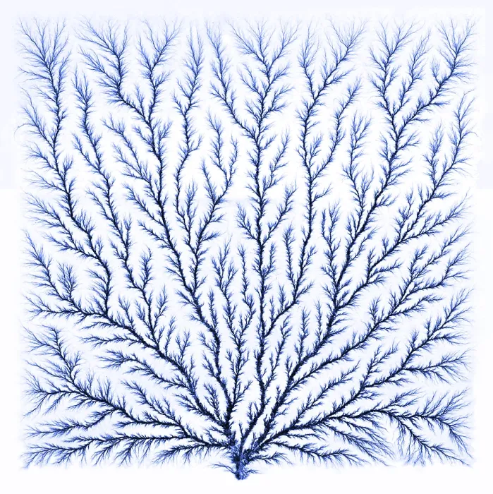 Framed Print : Electron Tree or Lichtenberg Figure Framed Print : Electron Tree or Lichtenberg Figure