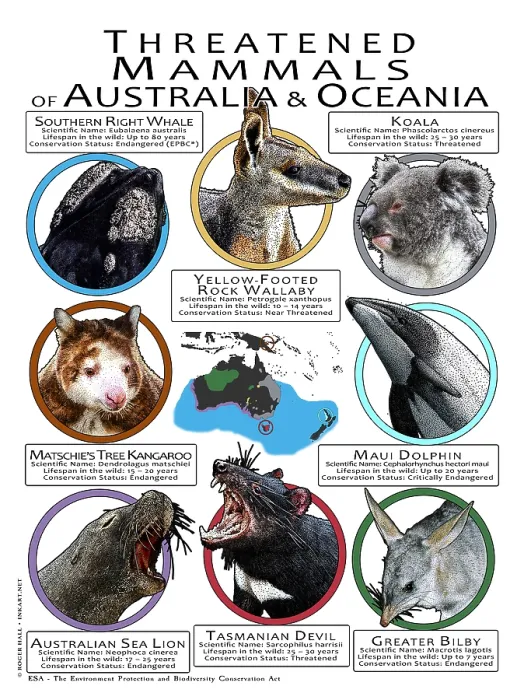 Framed Print : Endangered Mammals of Australia and Oceania Framed Print : Endangered Mammals of Australia and Oceania
