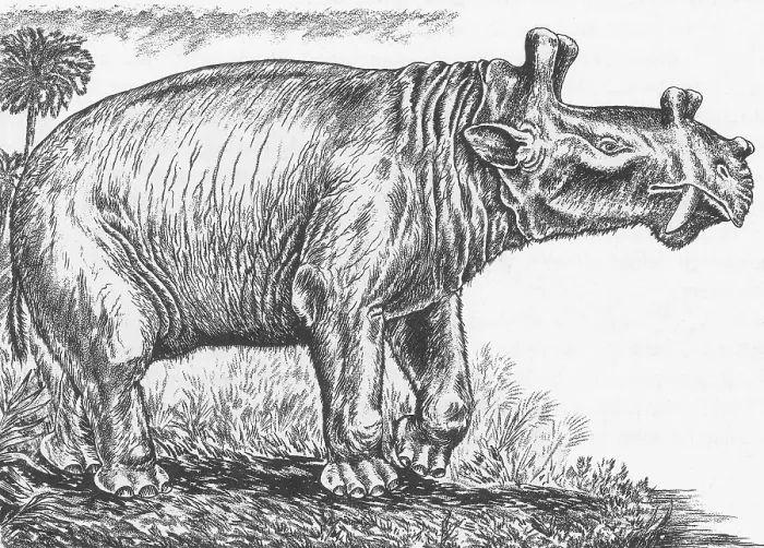 Framed Print : Eobasileus