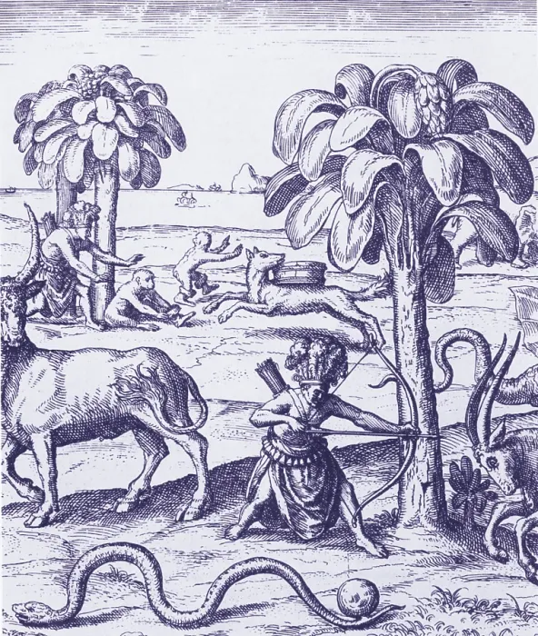 Framed Print : Exploration 1598