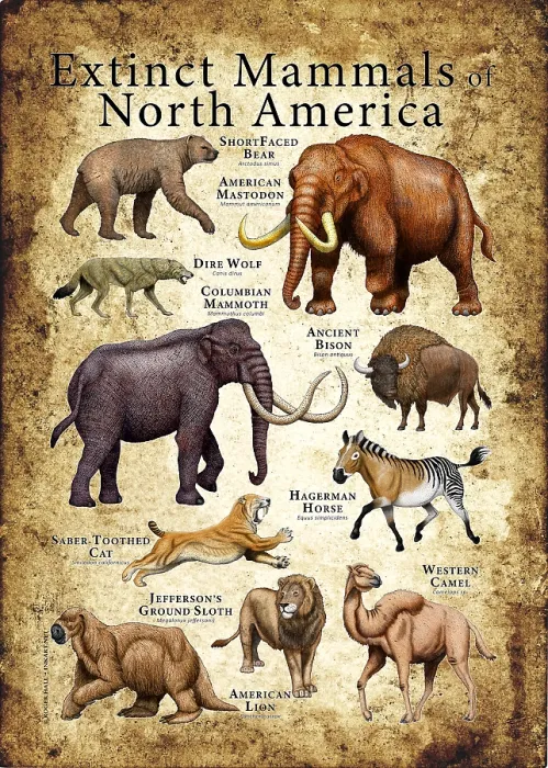 Framed Print : Extinct Animals of North America