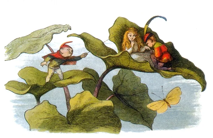Framed Print : Fairy Courtship Cut Short