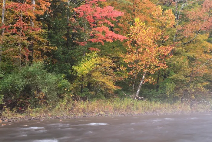 Framed Print : Fall on the Battenkill River