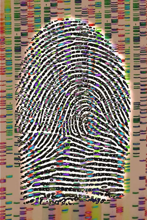 Framed Print : Fingerprint analysis Framed Print : Fingerprint analysis