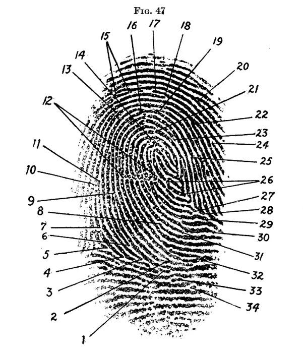 Framed Print : Fingerprint Diagram, 1940 Framed Print : Fingerprint Diagram, 1940