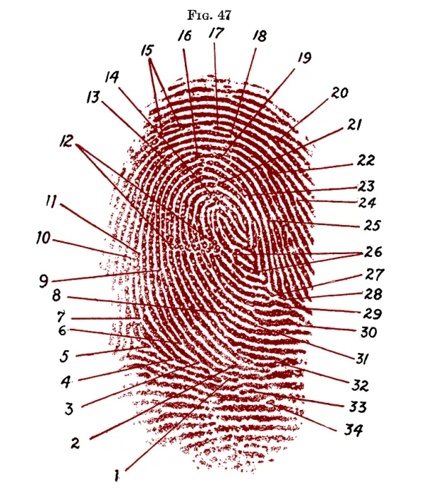 Framed Print : Fingerprint Diagram, 1940 Framed Print : Fingerprint Diagram, 1940