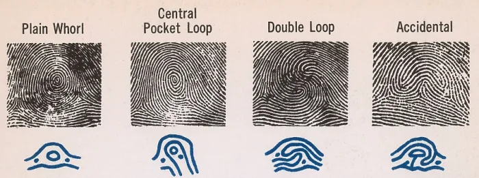 Framed Print : Fingerprint Patterns