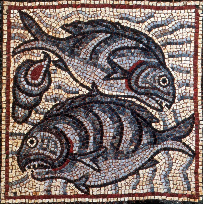 Framed Print : Fish, Byzantine Mosaic, 6th Century