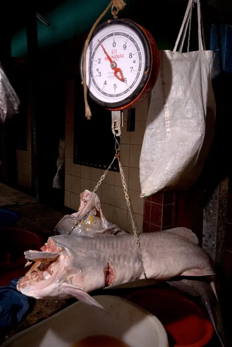 Framed Print : Fish market, Peru Framed Print : Fish market, Peru