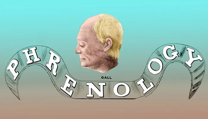 Framed Print : Franz Joseph Gall, German Phrenologist