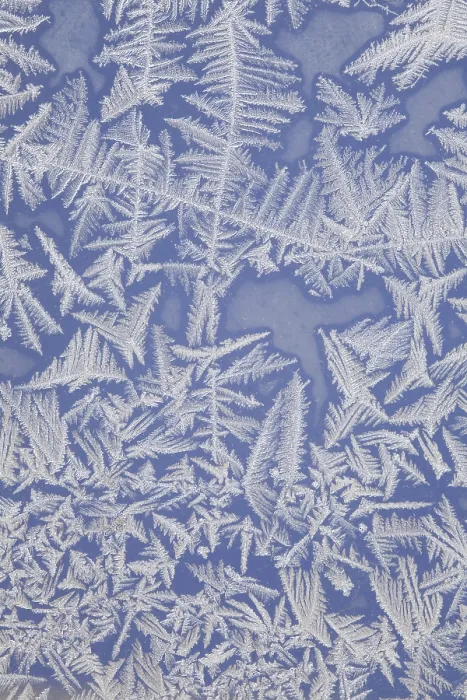 Framed Print : Frost on a Window Framed Print : Frost on a Window
