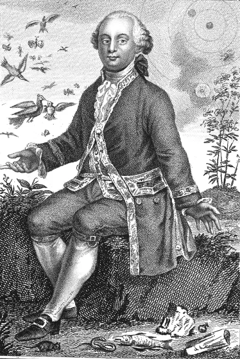 Framed Print : Georges Leclerc, Comte de Buffon, French Polymath