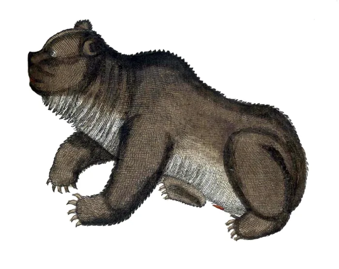 Framed Print : Gessner, Bear, 16th Century Framed Print : Gessner, Bear, 16th Century