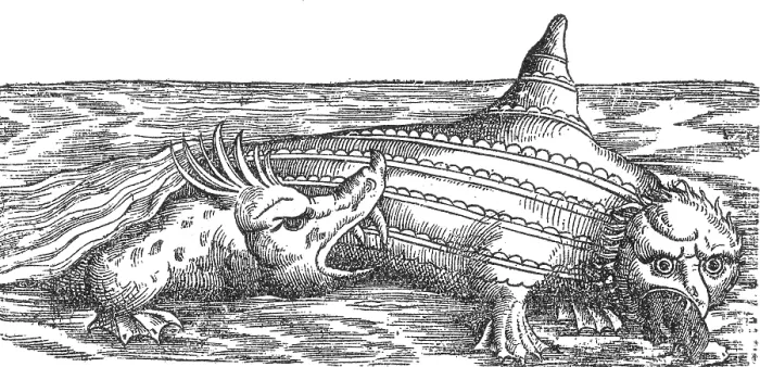 Framed Print : Gessner, Sea Monster Attacks Ziphius, 16th Century Framed Print : Gessner, Sea Monster Attacks Ziphius, 16th Century