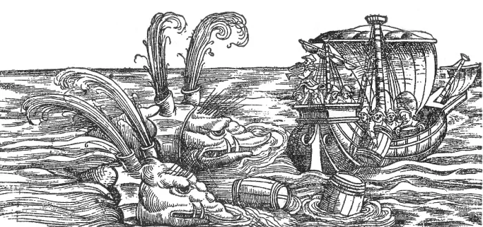 Framed Print : Gessner, Sea Monsters or Whales, 16th Century Framed Print : Gessner, Sea Monsters or Whales, 16th Century