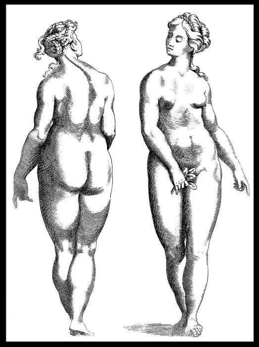 Framed Print : Giambattista della Porta, Physiognomy, 1586 Framed Print : Giambattista della Porta, Physiognomy, 1586