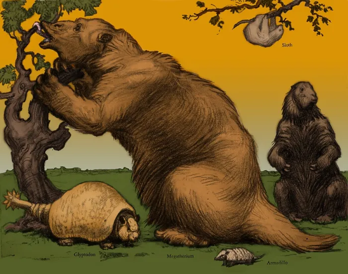 Framed Print : Glyptodon and Megatherium, Extinct Fauna Framed Print : Glyptodon and Megatherium, Extinct Fauna