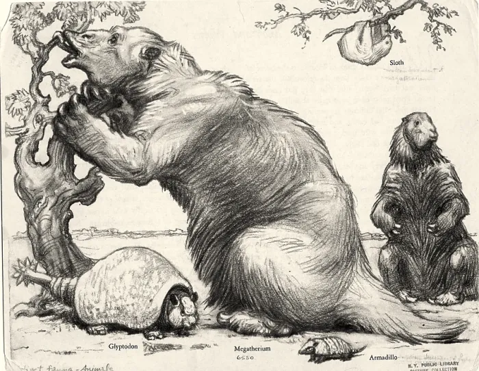 Framed Print : Glyptodon and Megatherium, Extinct Fauna Framed Print : Glyptodon and Megatherium, Extinct Fauna