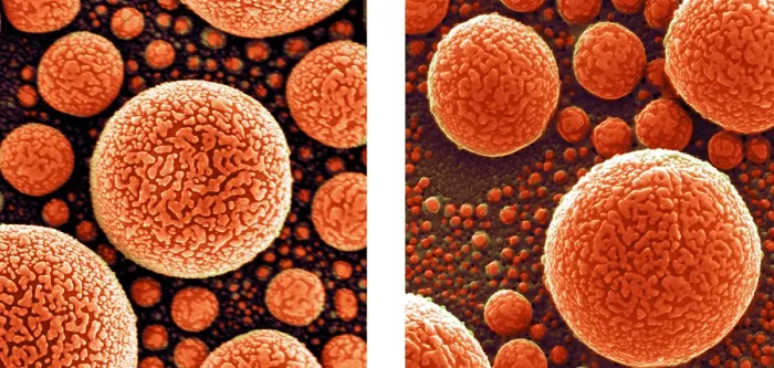 Framed Print : Gold Atoms, SEM vs. SHIM Framed Print : Gold Atoms, SEM vs. SHIM