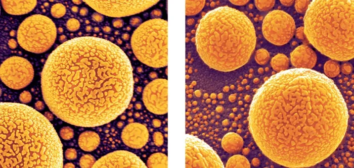 Framed Print : Gold Atoms, SEM vs. SHIM Framed Print : Gold Atoms, SEM vs. SHIM