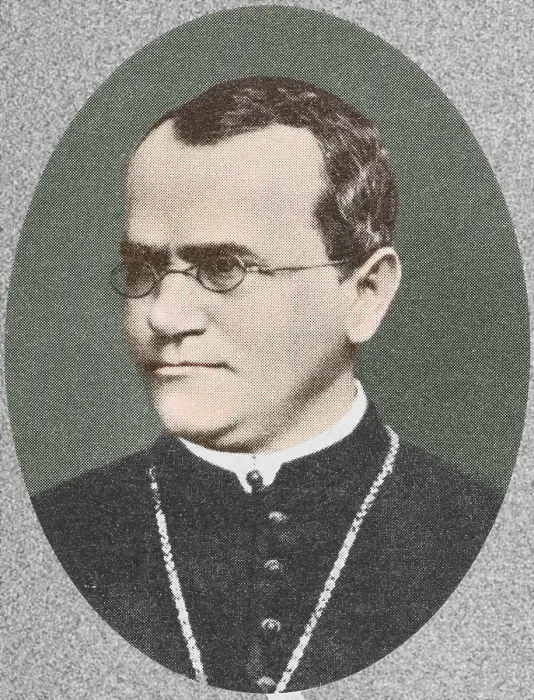 Framed Print : Gregor Mendel, Father of Genetics