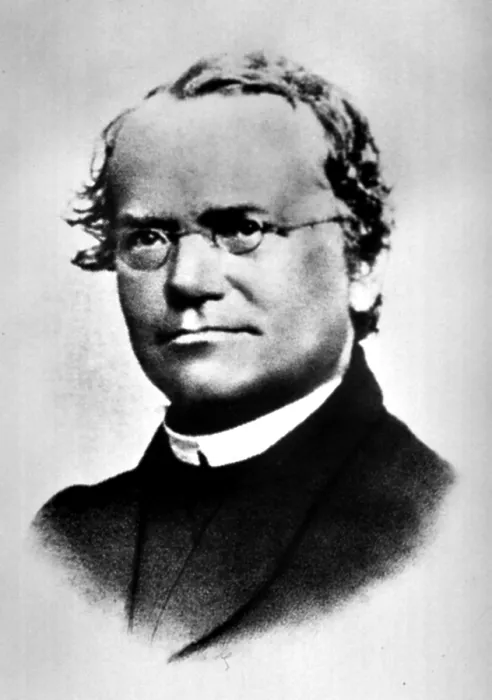 Framed Print : Gregor Mendel, Father of Genetics