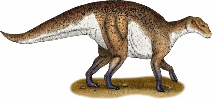 Framed Print : Hadrosaurus Framed Print : Hadrosaurus