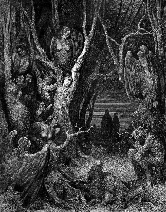 Framed Print : Harpies, Legendary Creatures Framed Print : Harpies, Legendary Creatures