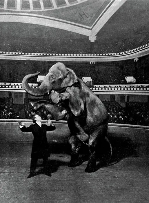 Framed Print : Harry Houdini, Vanishing Elephant, 1918 Framed Print : Harry Houdini, Vanishing Elephant, 1918