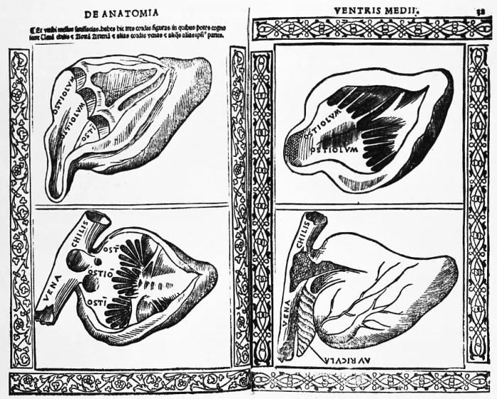 Framed Print : Heart Illustration, 1523 Framed Print : Heart Illustration, 1523
