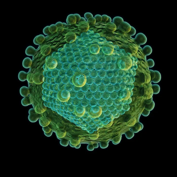 Framed Print : Hepatitis C Virus Framed Print : Hepatitis C Virus