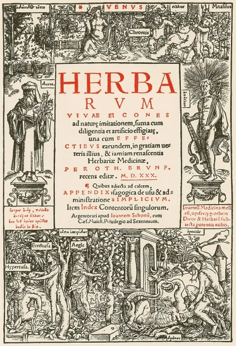 Framed Print : Herbarum Vivae Eicones, Title Page, 16th Century