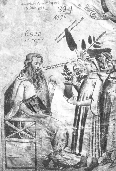 Framed Print : De Herbis et Plantis, 1629