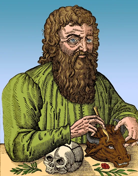 Framed Print : Hippocrates, Greek Physician Framed Print : Hippocrates, Greek Physician