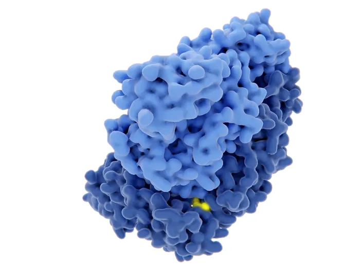 Framed Print : HIV-1 reverse transcriptase, molecular model Framed Print : HIV-1 reverse transcriptase, molecular model
