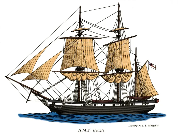 Framed Print : HMS Beagle Framed Print : HMS Beagle