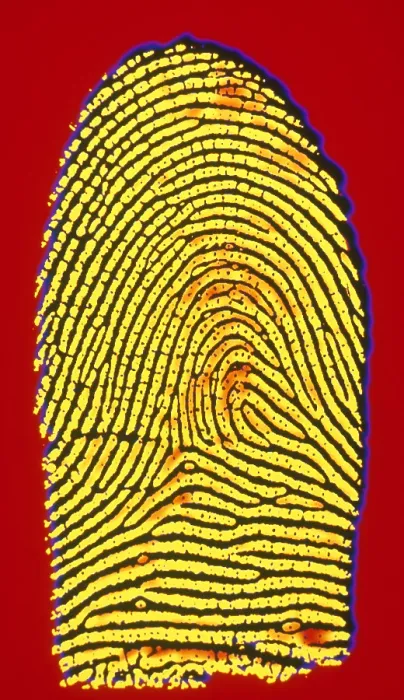 Framed Print : Human Fingerprint Framed Print : Human Fingerprint