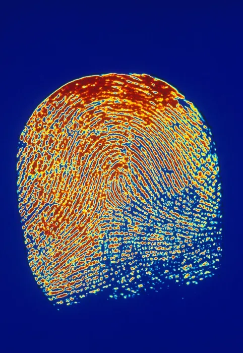 Framed Print : Human Fingerprint Framed Print : Human Fingerprint