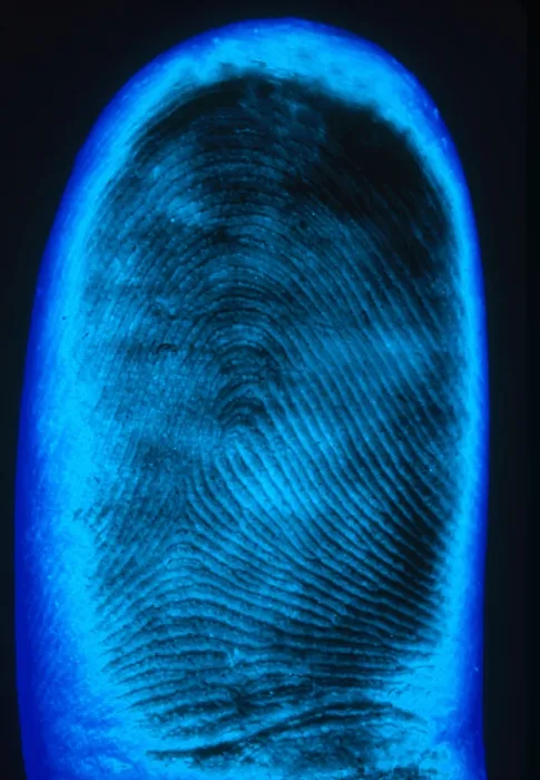 Framed Print : Human Fingerprint Framed Print : Human Fingerprint