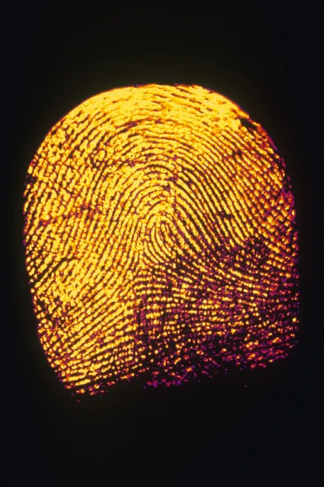 Framed Print : Human Fingerprint Framed Print : Human Fingerprint