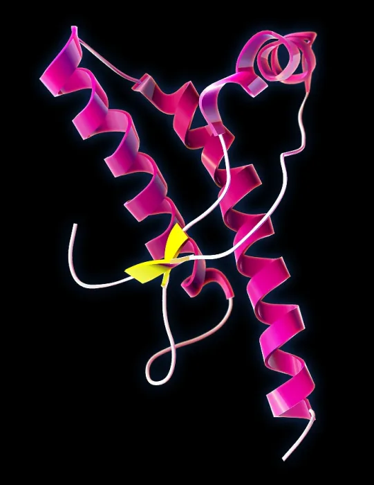 Framed Print : Human Prion Protein Framed Print : Human Prion Protein