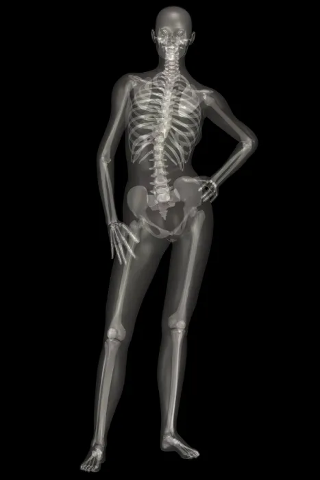 Framed Print : Human Skeleton Framed Print : Human Skeleton