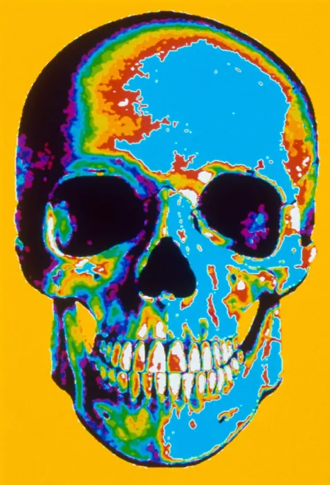 Framed Print : Human Skull