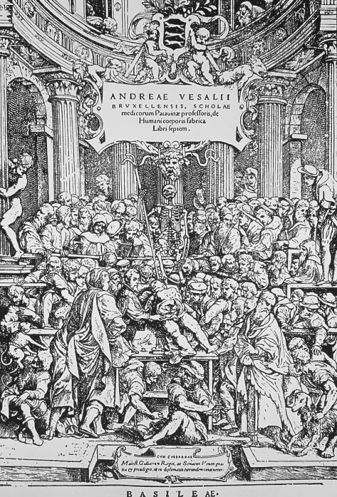 Framed Print : De Humani Corporis Fabrica, Vesalius, Renaissance Book of Anatomy, Dissection, Medicine