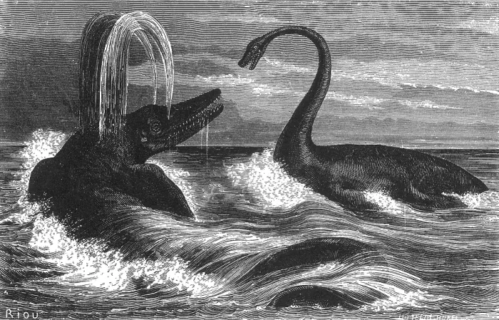 Framed Print : Ichthyosaurus and Plesiosaurus Framed Print : Ichthyosaurus and Plesiosaurus