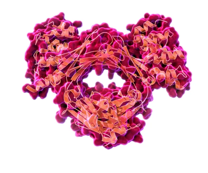 Framed Print : Immunoglobulin E, antibody