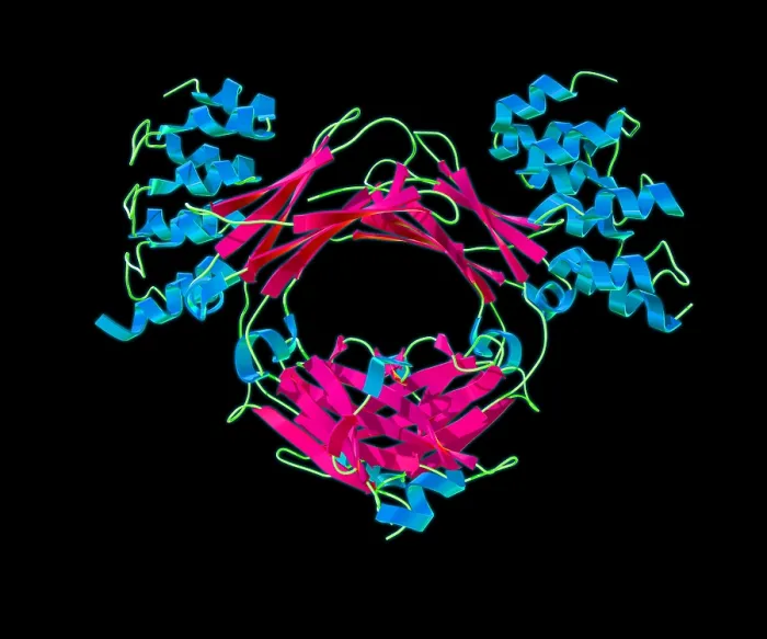 Framed Print : Immunoglobulin E, antibody