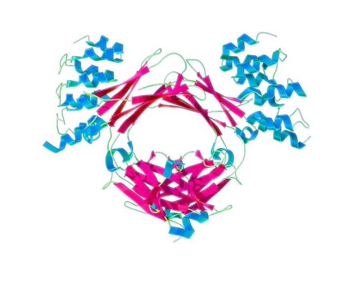 Framed Print : Immunoglobulin E, antibody