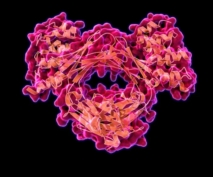Framed Print : Immunoglobulin E, antibody Framed Print : Immunoglobulin E, antibody